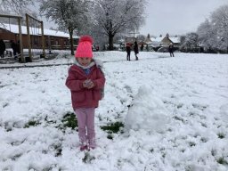 3357935_webblog_large