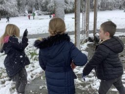 3357950_webblog_large