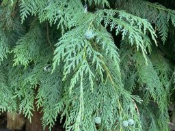 3532109_webblog_large