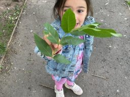 3532119_webblog_large