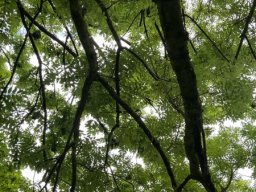 3532125_webblog_large