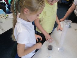 1205946_webblog_large