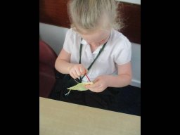 1209236_webblog_large