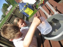 1386111_webblog_large