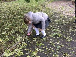 2377529_webblog_large