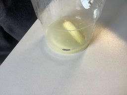 2489974_webblog_large