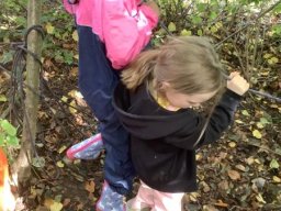 3323345_webblog_large