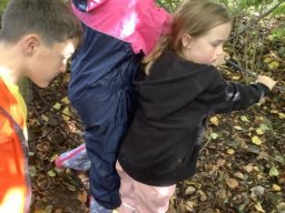 3323351_webblog_large