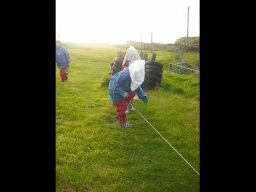205980_work_large