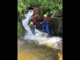 205991_work_large
