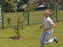 240164_work_large
