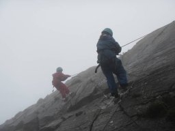 472178_work_large