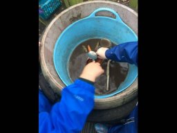 943482_work_large