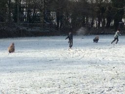 979632_work_large