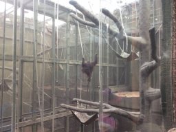 1058330_work_large