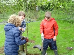 1107198_work_large