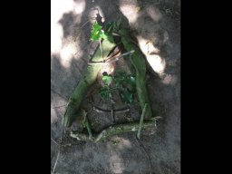 1159016_work_large