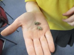 img3012_r