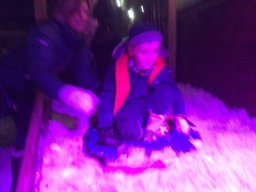1537134_work_large
