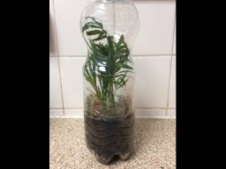1583032_webblog_large