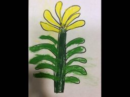 1818151_work_large