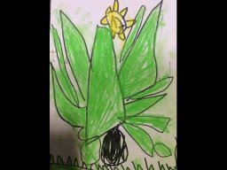 1818152_work_large