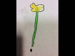 1818153_work_large