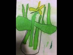 1818166_work_large
