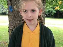 2330222_webblog_large