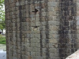 2541865_webblog_large