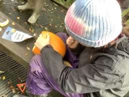 3002721_work_large