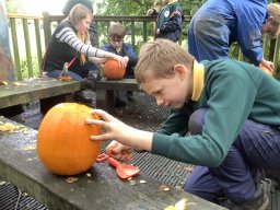 3002643_work_large