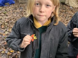 3031266_webblog_large