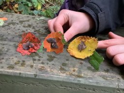 3031272_webblog_large
