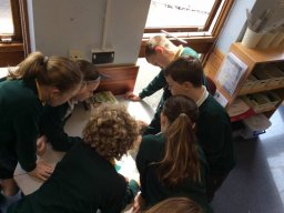 1103106_news_large