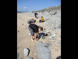 1114008_news_large