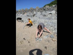 1114009_news_large