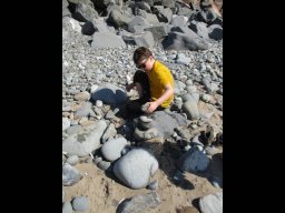 1114011_news_large