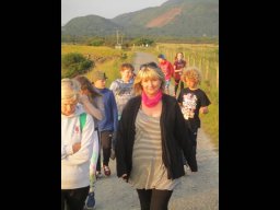 1118099_news_large