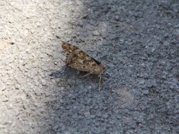 1148818_news_large
